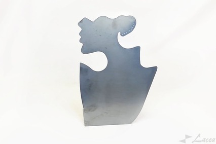 Espositori steel